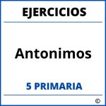 Ejercicios Antonimos 5 Primaria PDF