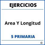 Ejercicios Area Y Longitud 5 Primaria PDF