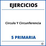 Ejercicios Circulo Y Circunferencia 5 Primaria PDF