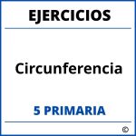 Ejercicios Circunferencia 5 Primaria PDF
