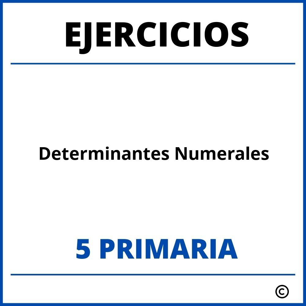 Ejercicios Determinantes Numerales 5 Primaria PDF