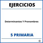 Ejercicios Determinantes Y Pronombres 5 Primaria PDF