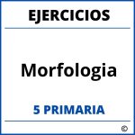 Ejercicios Morfologia 5 Primaria PDF