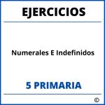 Ejercicios Numerales E Indefinidos 5 Primaria PDF