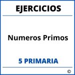 Ejercicios Numeros Primos 5 Primaria PDF