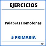 Ejercicios Palabras Homofonas 5 Primaria PDF