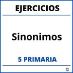 Ejercicios Sinonimos 5 Primaria PDF