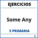 Ejercicios Some Any 5 Primaria PDF