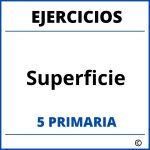 Ejercicios Superficie 5 Primaria PDF